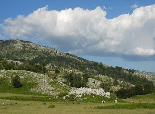 Hikers in nature