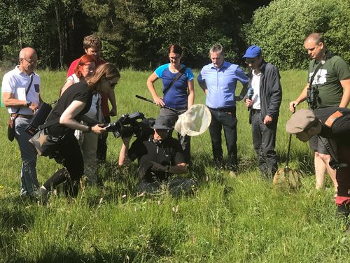 Experts, locals and journalists watching Euphydryas aurinia in the Green Belt Germany-Czech Republic © BUND Department Green Belt