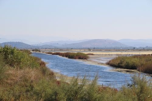 Ulcinj Salina is a bird´s paradise. © Janinka Lutze