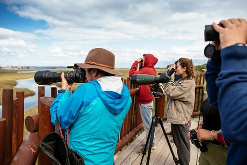 a group of young folks at birding