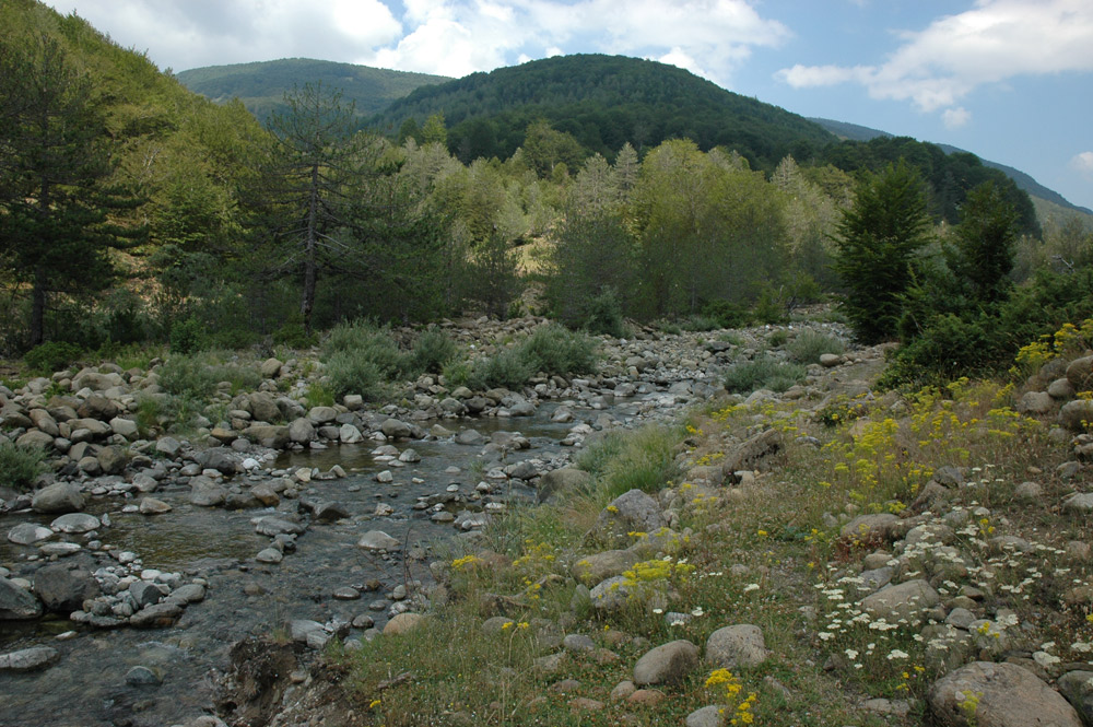 Shebenik Jablanica National Park in Albania